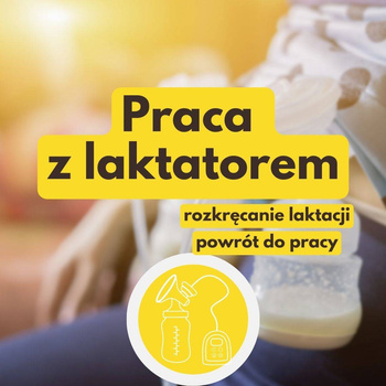 Konsultacja Scenariusza pracy z laktatorem [Online]